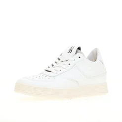 SNEAKERS COE