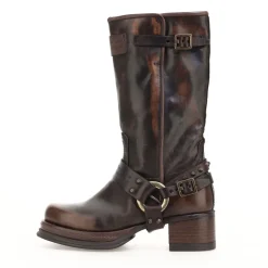 STIEFEL CAREY